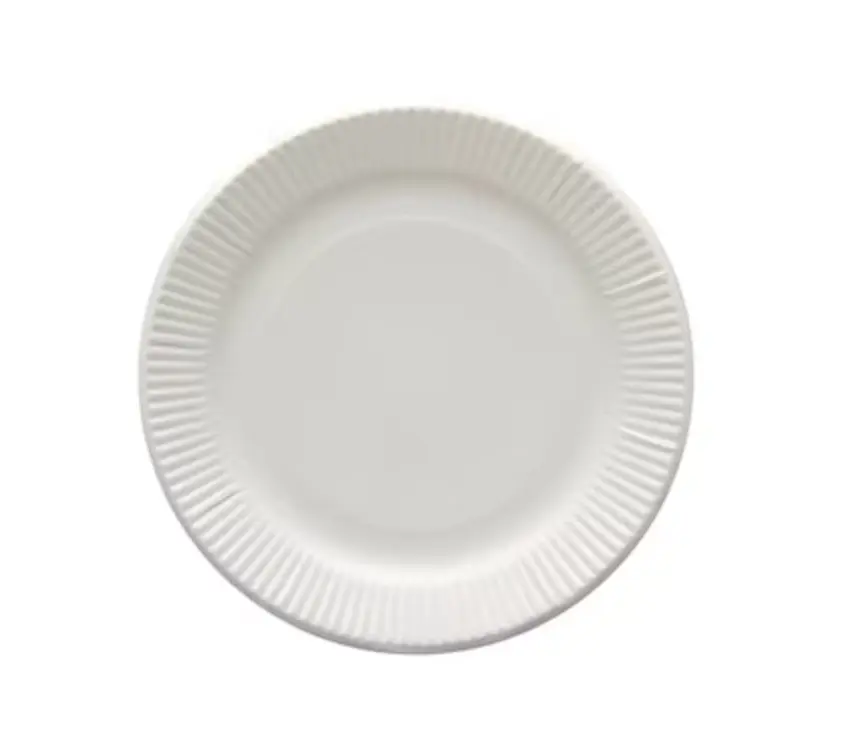 白色紙碟 - 10隻裝