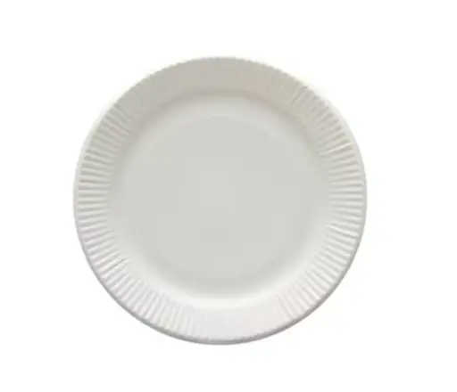 白色紙碟 - 10隻裝